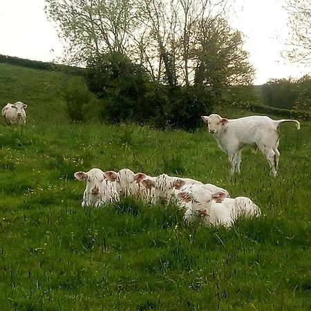 Gite A La Ferme Le Rousset Εξωτερικό φωτογραφία